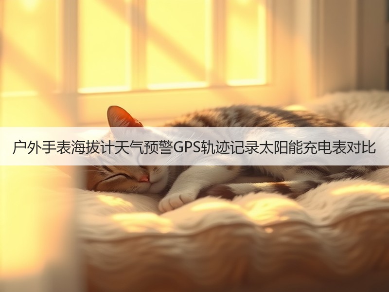 户外手表海拔计天气预警GPS轨迹记录太阳能充电表对比