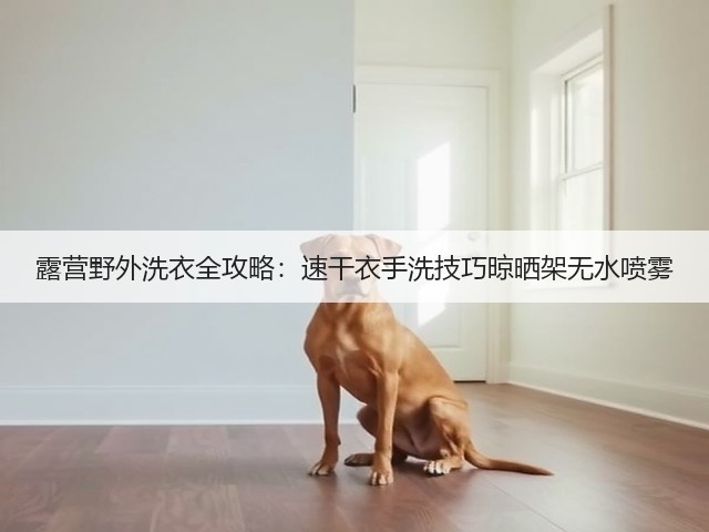 露营野外洗衣全攻略：速干衣手洗技巧晾晒架无水喷雾(图4)