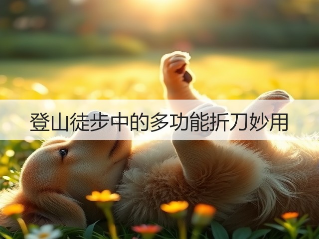 登山徒步中的多功能折刀妙用(图2)
