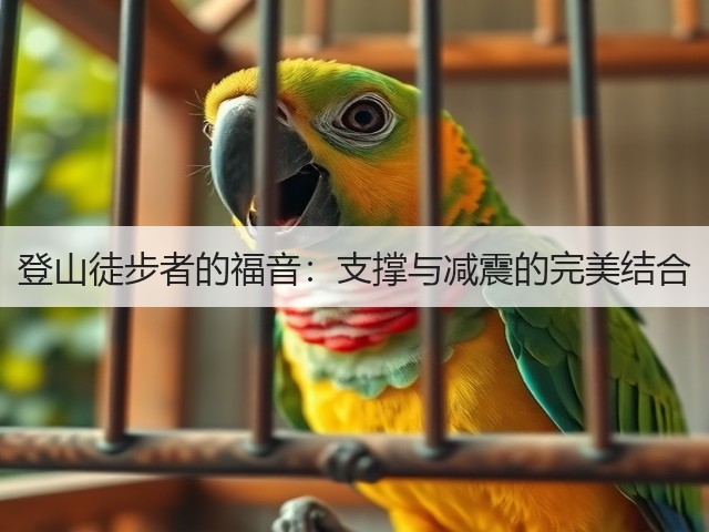 登山徒步者的福音：支撑与减震的完美结合(图3)
