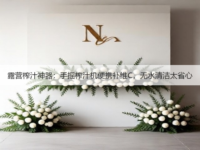 露营榨汁神器：手摇榨汁机便携补维C，无水清洁太省心(图5)