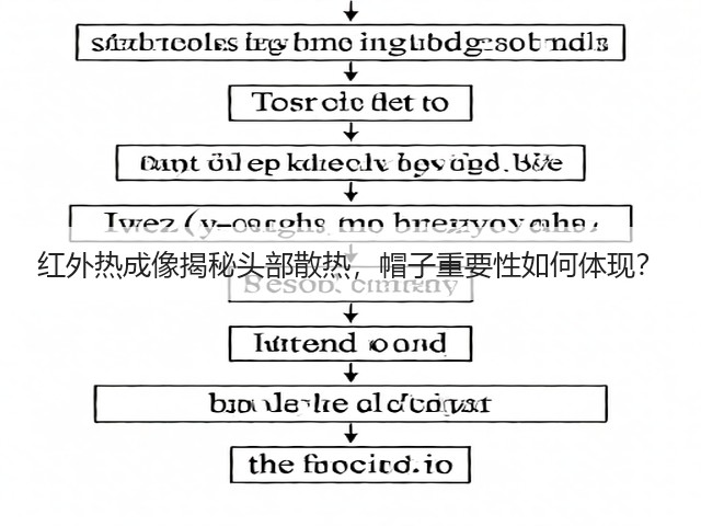红外热成像揭秘头部散热,帽子重要性如何体现?(图1) 红外热成像揭秘头部散热,帽子重要性如何体现?(图1)