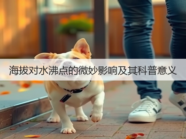 海拔对水沸点的微妙影响及其科普意义(图2)