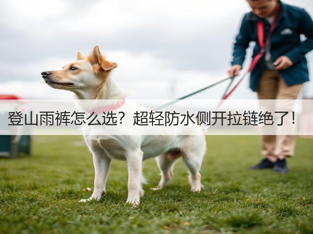 登山雨裤怎么选？超轻防水侧开拉链绝了！(图1)