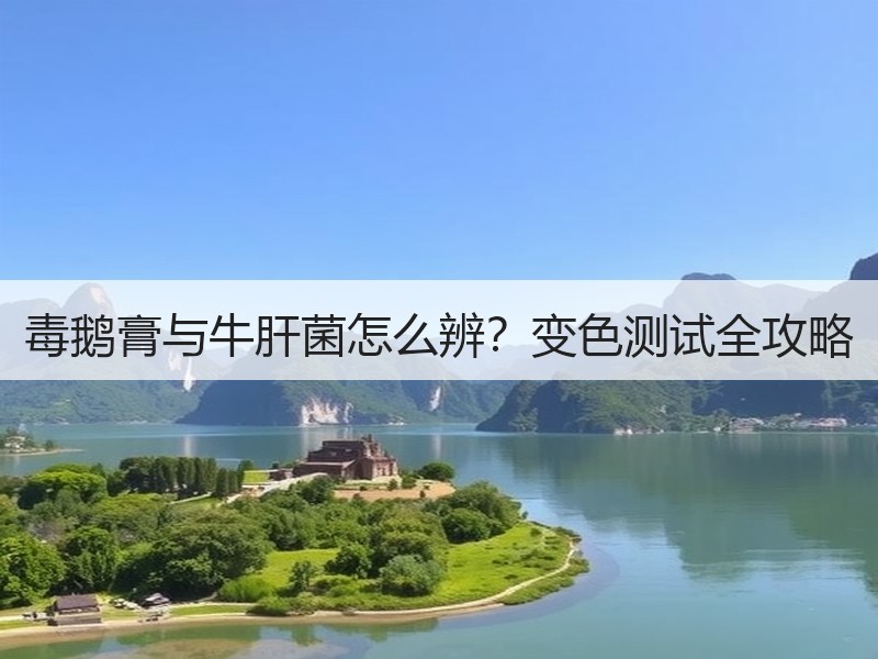 毒鹅膏与牛肝菌怎么辨？变色测试全攻略