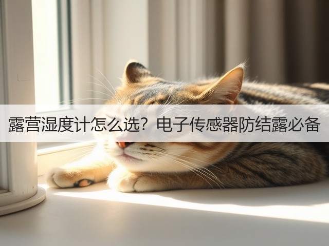 露营湿度计怎么选？电子传感器防结露必备(图2)