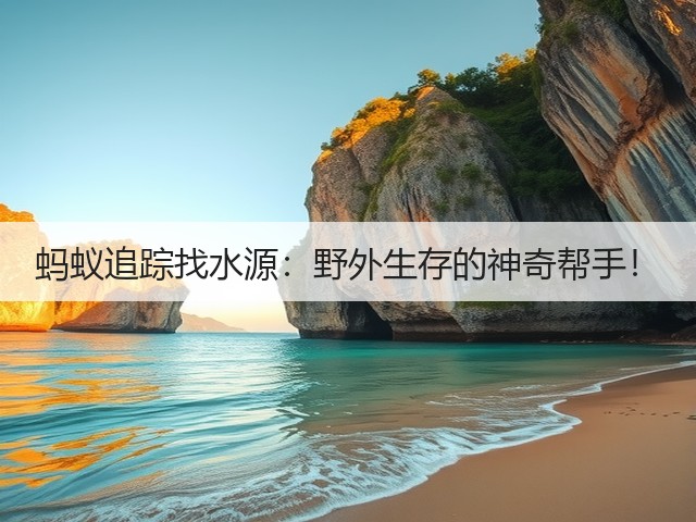 蚂蚁追踪找水源：野外生存的神奇帮手！(图3)
