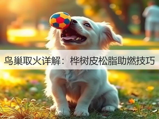 鸟巢取火详解：桦树皮松脂助燃技巧(图1)