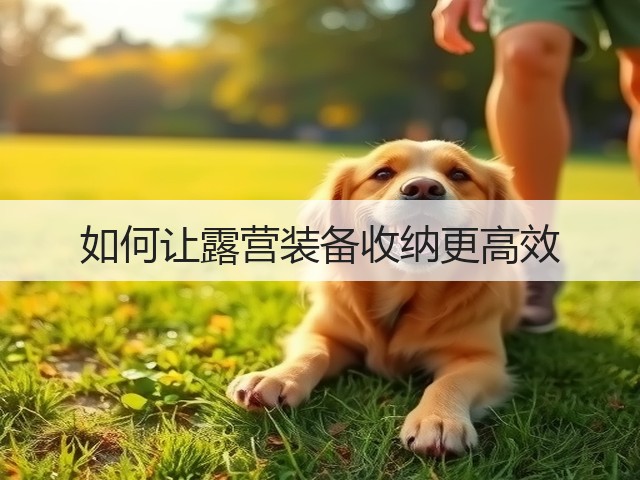 如何让露营装备收纳更高效(图2)