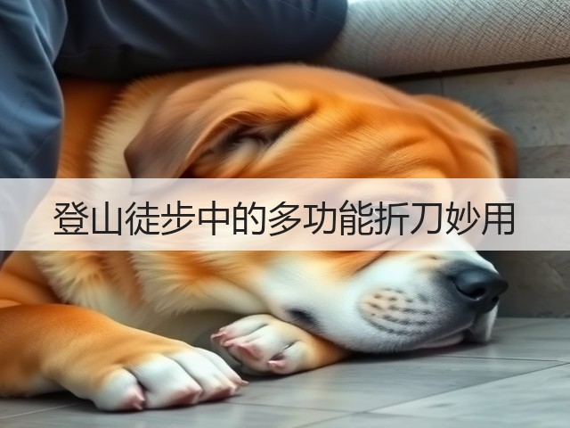 登山徒步中的多功能折刀妙用(图1)