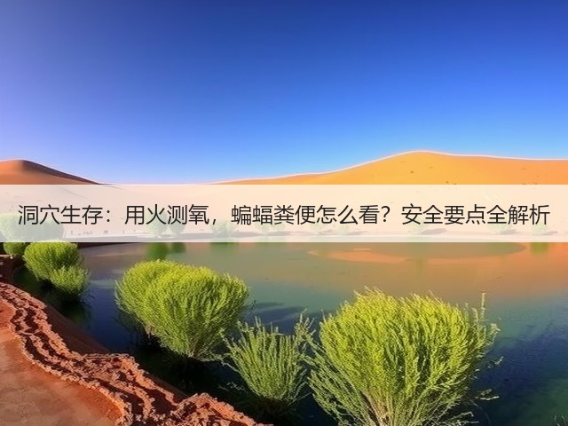 洞穴生存：用火测氧，蝙蝠粪便怎么看？安全要点全解析(图2)