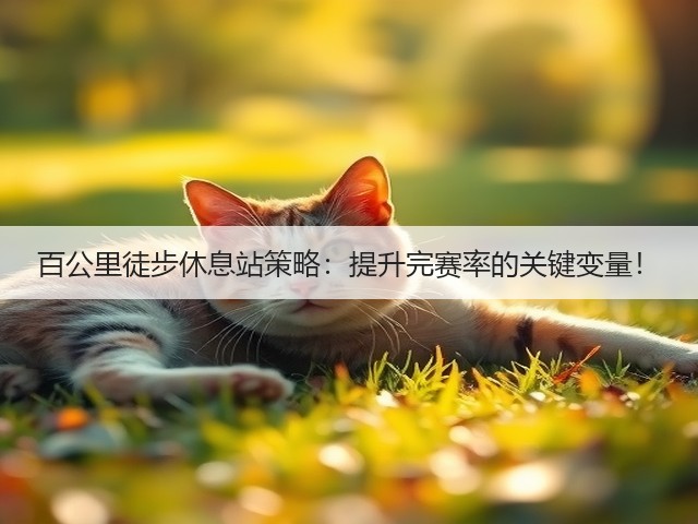 百公里徒步休息站策略：提升完赛率的关键变量！(图2)