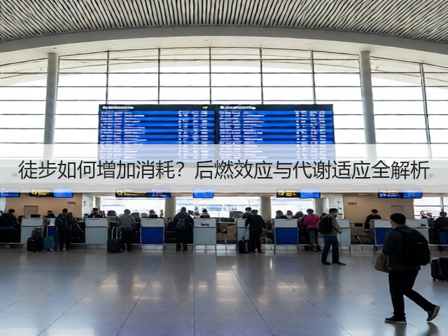徒步如何增加消耗？后燃效应与代谢适应全解析(图1)