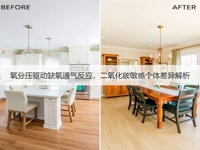 氧分压驱动缺氧通气反应,二氧化碳敏感个体差异解析(图2) 氧分压驱动缺氧通气反应,二氧化碳敏感个体差异解析(图2)