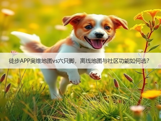 徒步APP奥维地图vs六只脚,离线地图与社区功能如何选?(图1) 徒步APP奥维地图vs六只脚,离线地图与社区功能如何选?(图1)