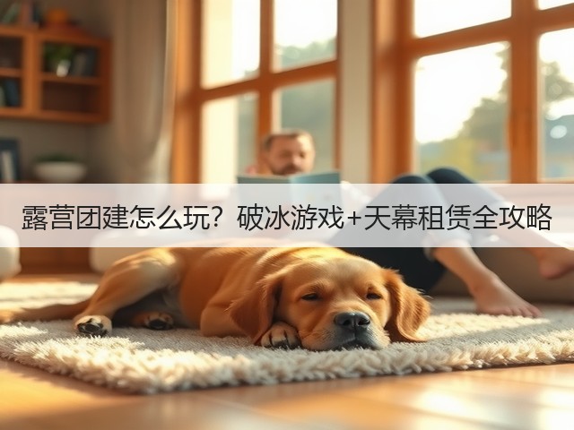 露营团建怎么玩？破冰游戏+天幕租赁全攻略(图1)
