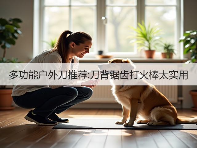 多功能户外刀推荐:刀背锯齿打火棒太实用(图3)