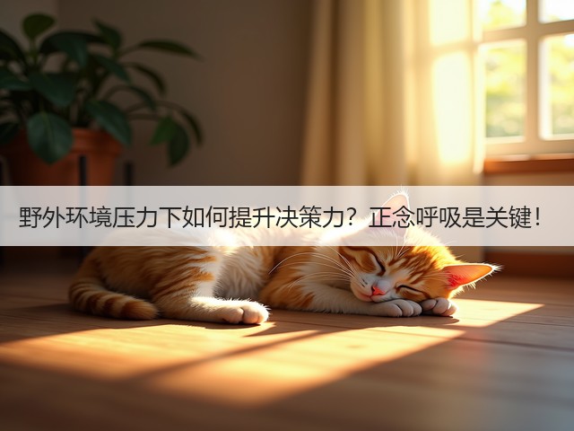 野外环境压力下如何提升决策力？正念呼吸是关键！(图1)