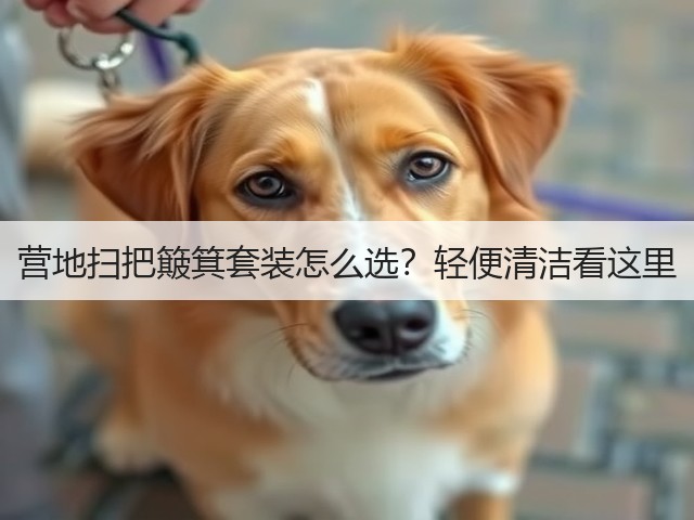 营地扫把簸箕套装怎么选？轻便清洁看这里(图5)