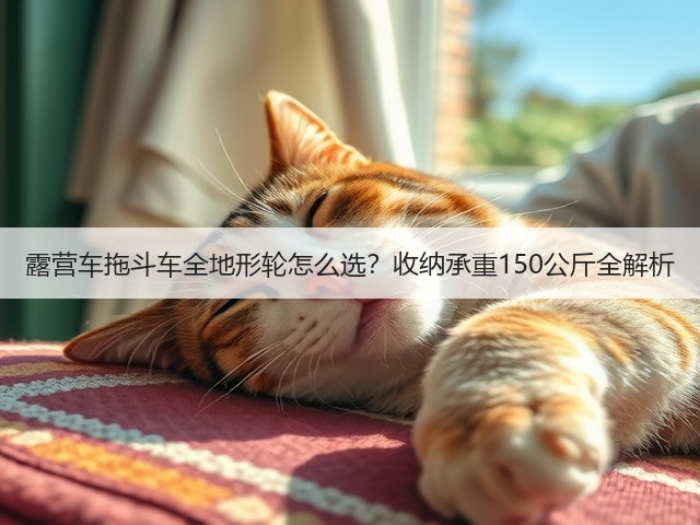 露营车拖斗车全地形轮怎么选？收纳承重150公斤全解析(图1)