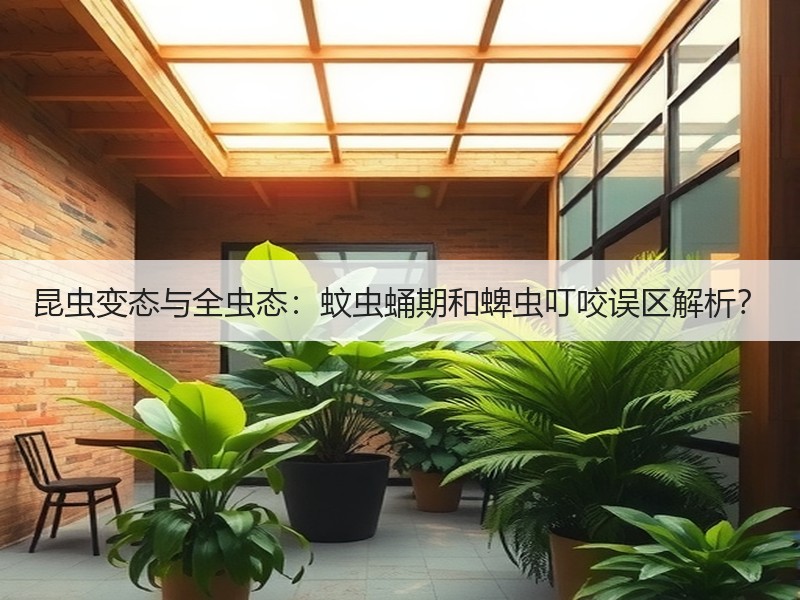 昆虫变态与全虫态：蚊虫蛹期和蜱虫叮咬误区解析？