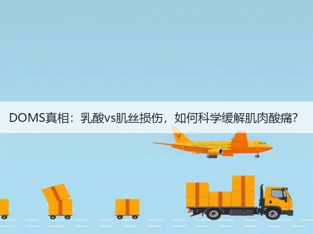 DOMS真相：乳酸vs肌丝损伤，如何科学缓解肌肉酸痛？(图2)