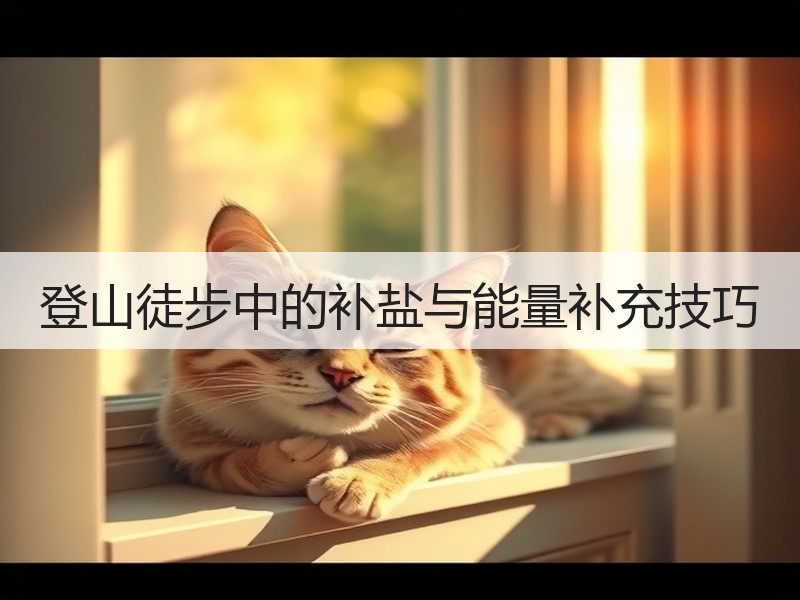 登山徒步中的补盐与能量补充技巧