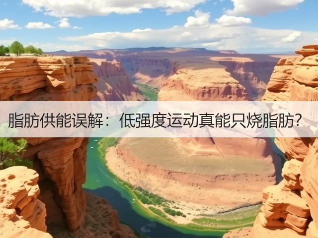 脂肪供能误解:低强度运动真能只烧脂肪?(图2) 脂肪供能误解:低强度运动真能只烧脂肪?(图2)