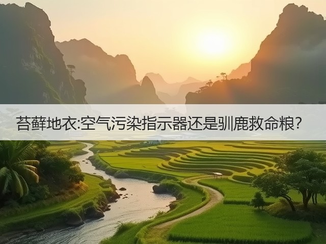 苔藓地衣:空气污染指示器还是驯鹿救命粮?(图1) 苔藓地衣:空气污染指示器还是驯鹿救命粮?(图1)