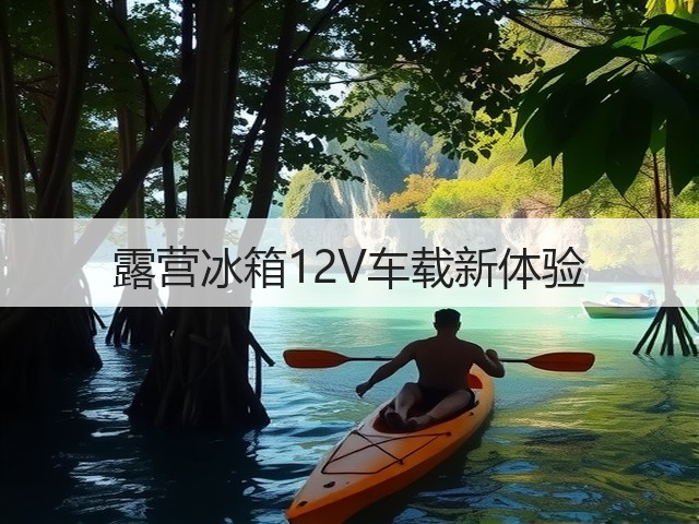 露营冰箱12V车载新体验(图3)