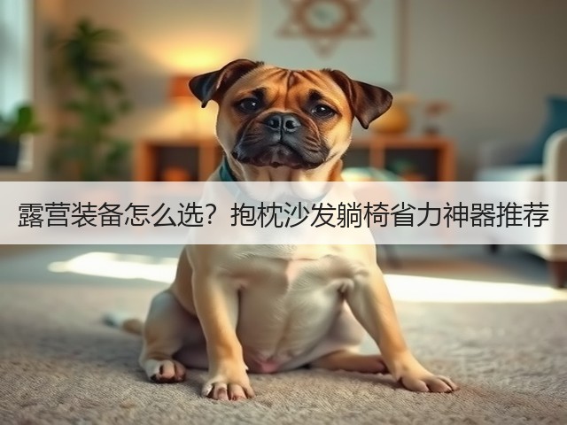 露营装备怎么选？抱枕沙发躺椅省力神器推荐(图2)