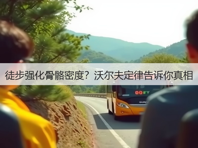 徒步强化骨骼密度？沃尔夫定律告诉你真相