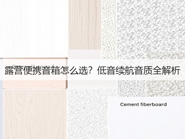 露营便携音箱怎么选？低音续航音质全解析(图5)