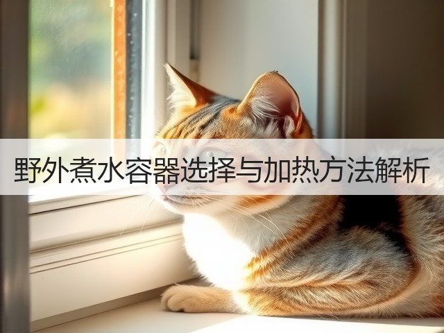 野外煮水容器选择与加热方法解析(图2)