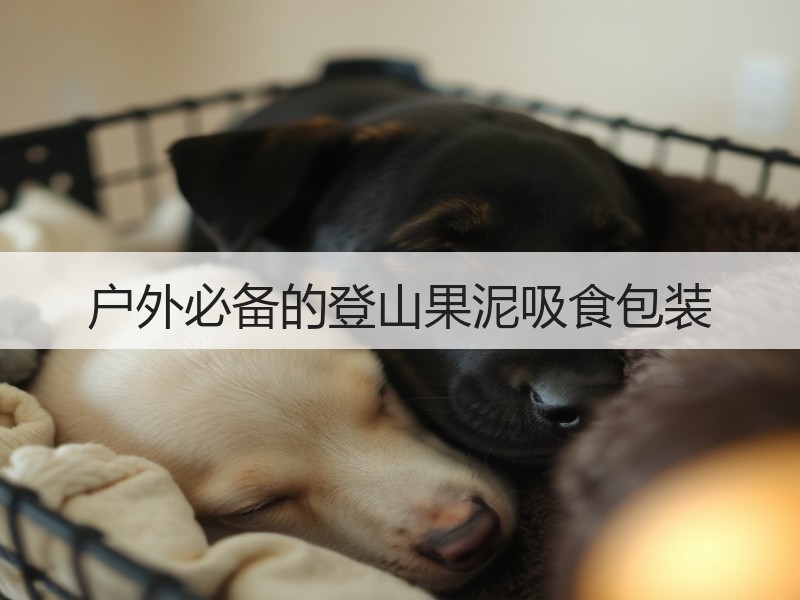 户外必备的登山果泥吸食包装