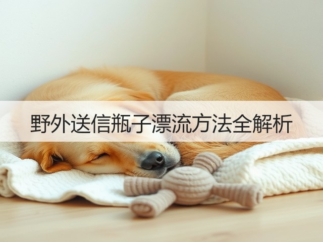 野外送信瓶子漂流方法全解析(图2)