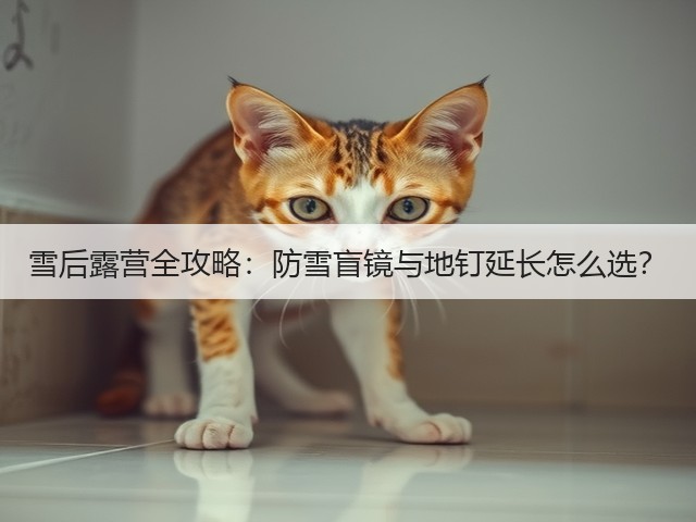 雪后露营全攻略：防雪盲镜与地钉延长怎么选？(图4)