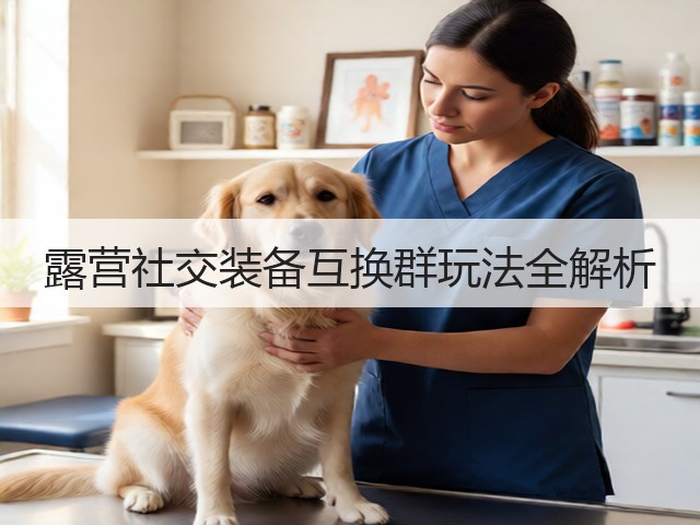 露营社交装备互换群玩法全解析(图6)