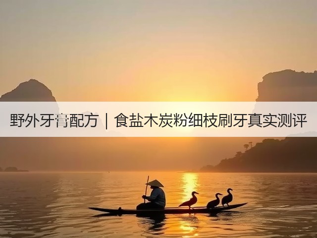 野外牙膏配方｜食盐木炭粉细枝刷牙真实测评(图2)