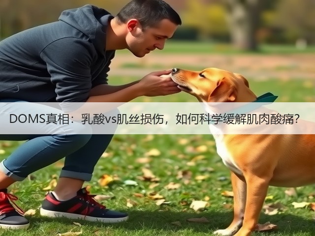 DOMS真相：乳酸vs肌丝损伤，如何科学缓解肌肉酸痛？(图1)