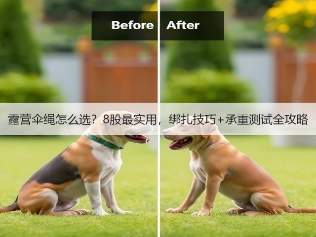 露营伞绳怎么选？8股最实用，绑扎技巧+承重测试全攻略(图5)