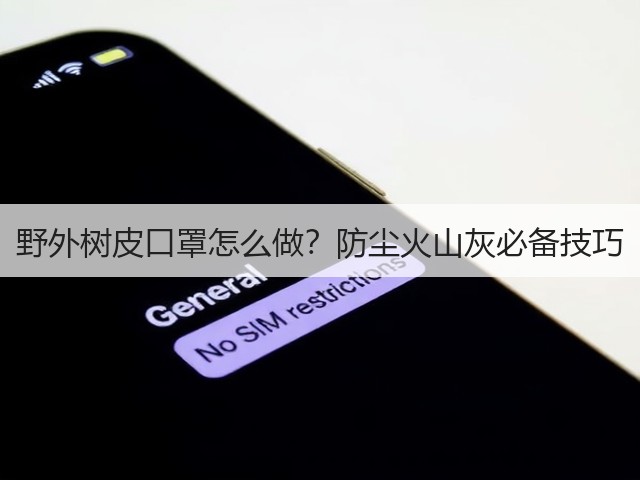 野外树皮口罩怎么做？防尘火山灰必备技巧(图2)