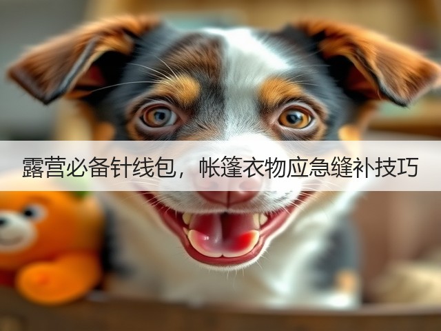 露营必备针线包，帐篷衣物应急缝补技巧(图5)