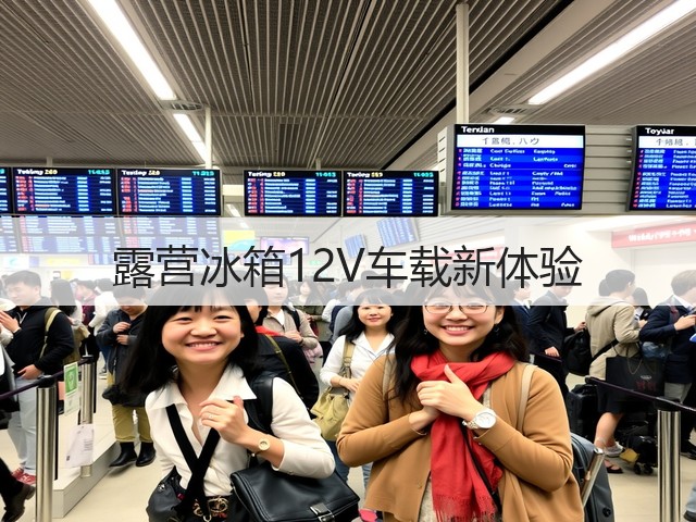 露营冰箱12V车载新体验(图2)