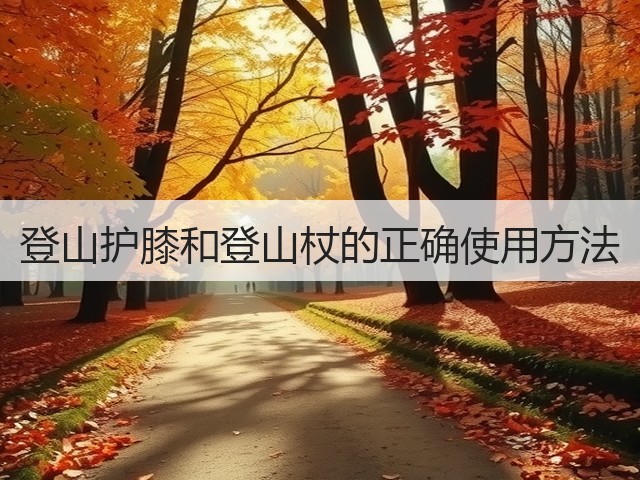 登山护膝和登山杖的正确使用方法(图3)