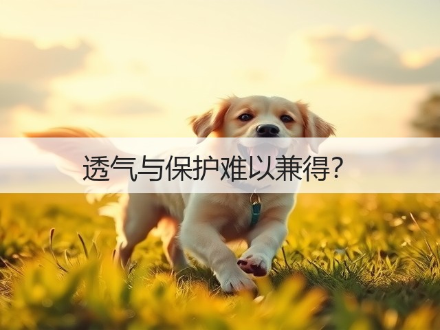透气与保护难以兼得？(图1)