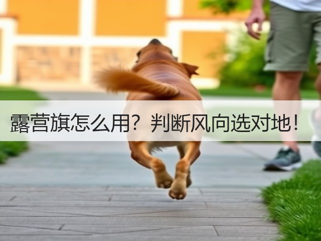 露营旗怎么用？判断风向选对地！(图2)
