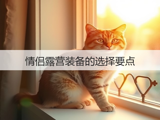 情侣露营装备的选择要点(图3)