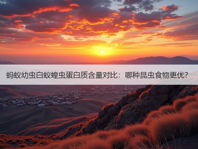 蚂蚁幼虫白蚁蝗虫蛋白质含量对比：哪种昆虫食物更优？(图2)