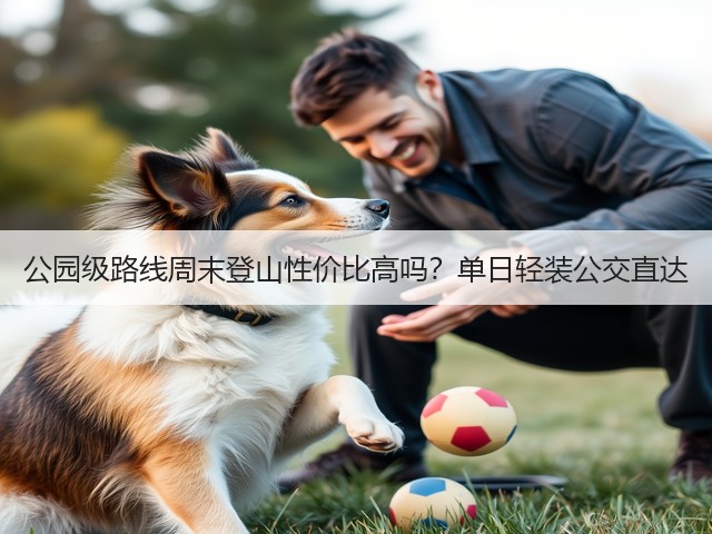公园级路线周末登山性价比高吗？单日轻装公交直达(图3)